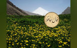 تفسیر فال حافظ 9 خرداد